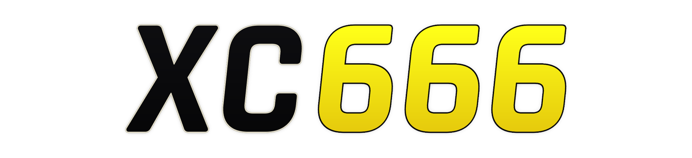 xc666